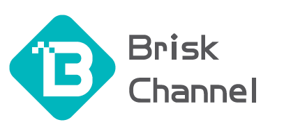 Brisk Channel Logo